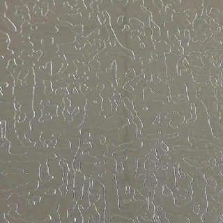 自由纹
